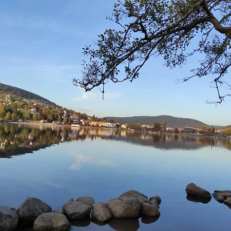 Fete Des Jonquilles Gérardmer